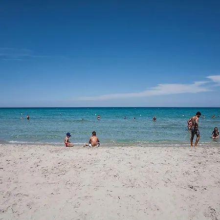 Bilocale 2 4 Posti Spiaggia E Servizi M119