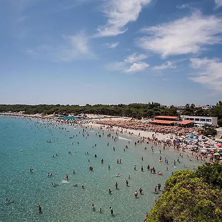 Bilocale 2 4 Posti Spiaggia E Servizi M119